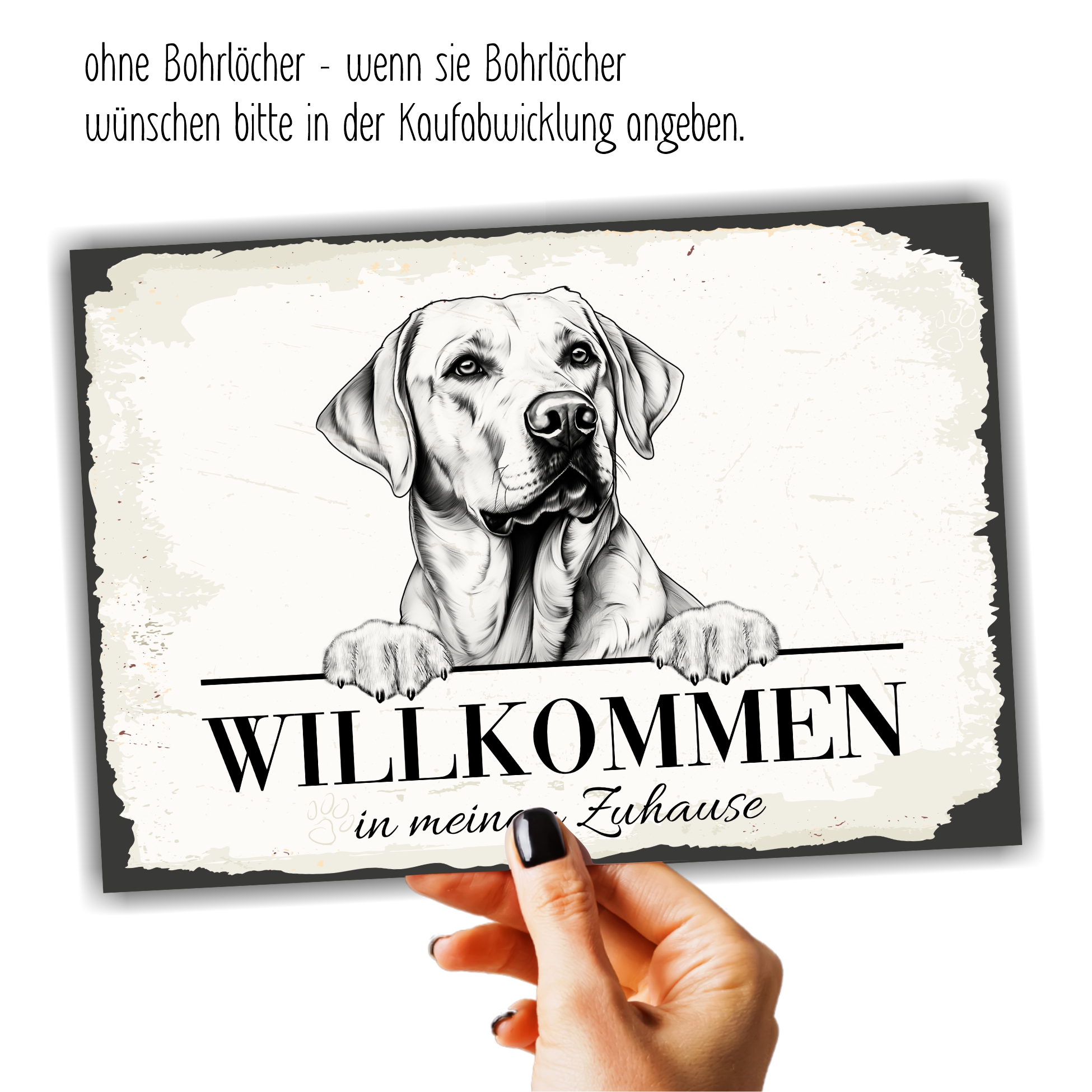 Hundeschild Willkommen Zuhause Labrador Labby Schild Achtung Spruch